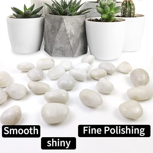5LB Polished White River Rocks for Plants,1-2.2 Inch Polished Pebbles for Garden Decoration Stones for Landscaping Aquarium Fish Tank Succulents