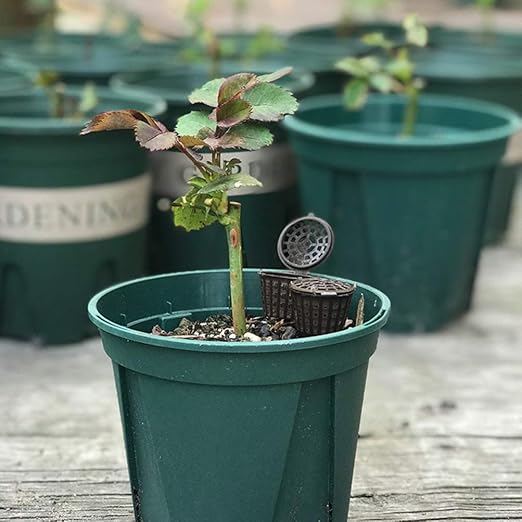 Bonsai Fertilizer Basket Mesh Containers with Lid for Plant Rooting and Controlled Fertilization 40 Pack Garden Nursery Accessories 3.14 X 1.96 Inches Each