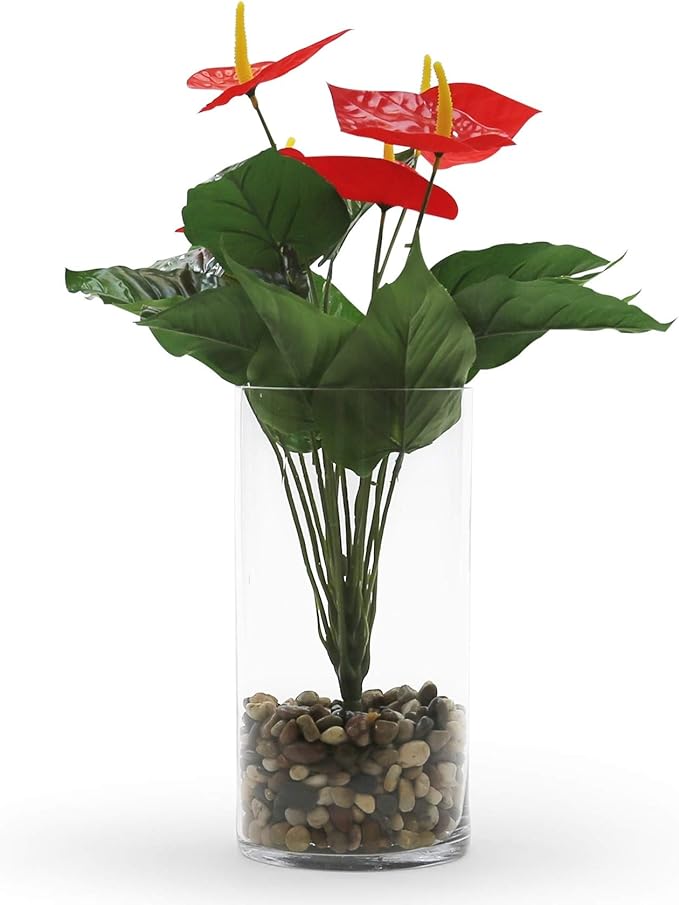 WGV Cylinder Vase Bulk, Width 6", Height 10", Clear Glass Container Terrarium Candle Holder for Wedding Centerpiece, Party Event, Home Office Decor, 6 Pieces
