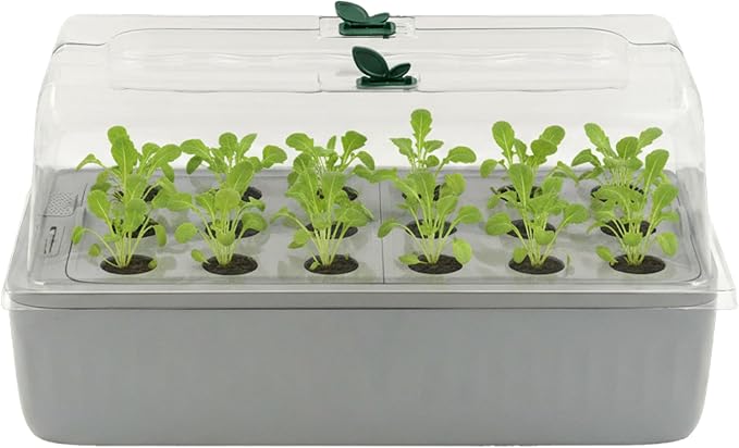 EZ Leafy Planter – Self-Watering Indoor Planter Box with Reservoir & Humidity Dome | Soil-Based Countertop Garden Kit for Leafy Greens, Lettuce, Spinach & Herbs | Kitchen Windowsill Planter