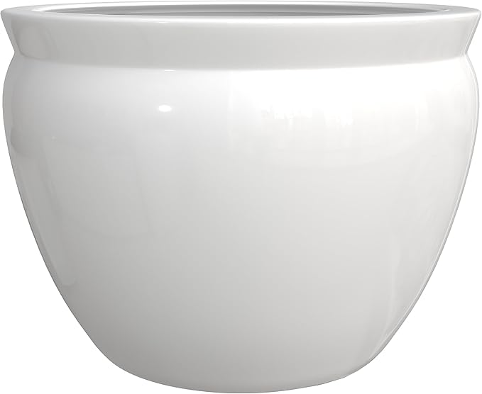 Red Lantern 8" Fishbowl - White