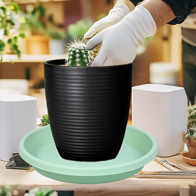 Plant Saucers Round 12 Inch Extra Large Pack of 5 Heavy Duty Plastic Drip Trays for Large Pots