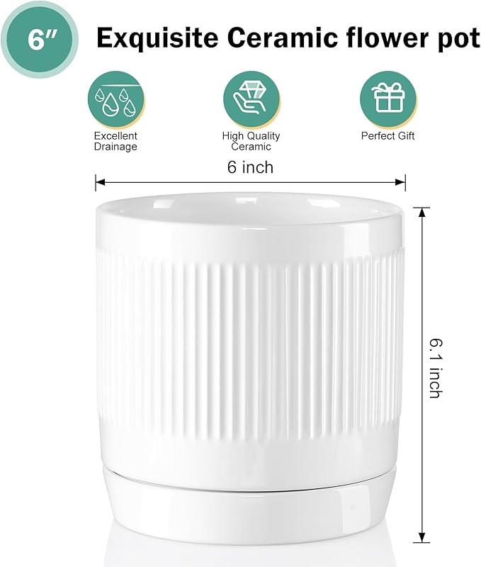 Vanavazon 6 Inch Glazed Ceramic Plant Pots Indoor with Drainage Hole and Saucer, Cylinder Indoor Planters for All House Plants, Modern Decor for Home & Office, Set of 2 (White)