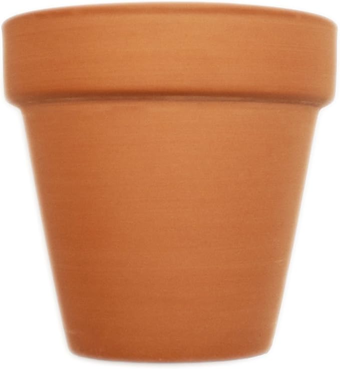 Black Duck Brand Set of 16 Terra Cot Pot Planter 2-1/2" x 2-1/2" Lawn & Garden Mini Flower Pots - 2.5" x 2.5" Terra Cotta (16)
