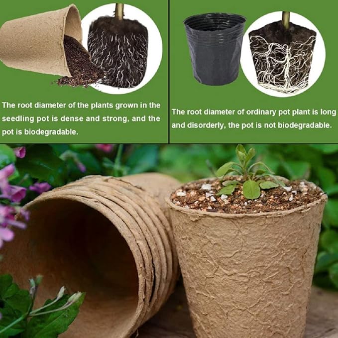 3T GROUP 50 Pcs 3 Inch Small Plant Pots Kit,Compostable Flower Pots for Plant,Disposable Peat Seed Pots,Biodegradable Planting Cups with Labels for Vegetables,Fruit