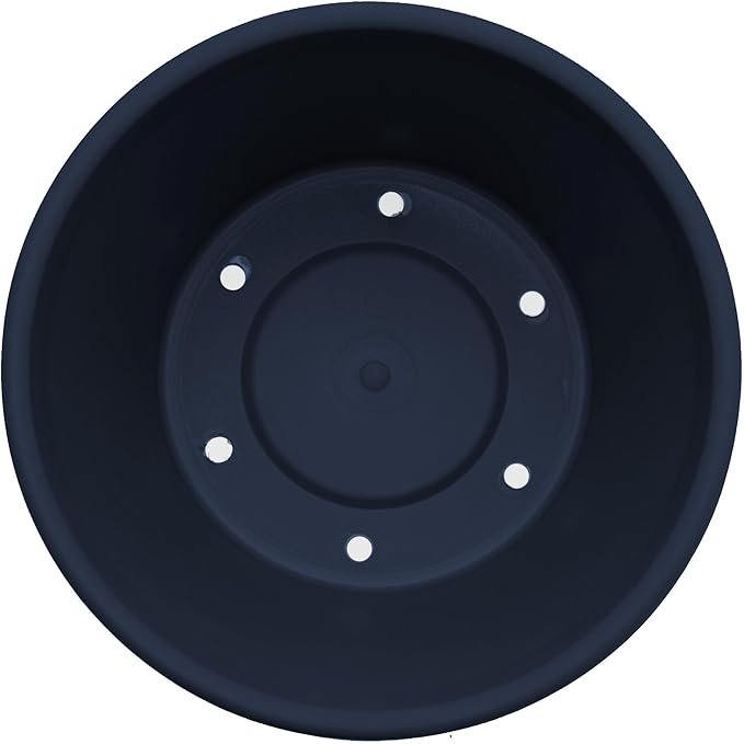 Bloem Terra 6" Diameter Round Navy Resin Planter Pot with Drainage Holes for Indoor and Outdoor Gardening