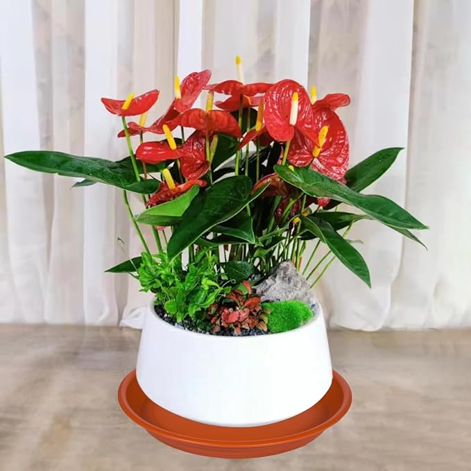 Plant Saucer Pot Tray 10 inch, 2 Packs Plant Drainage Trays, Plastic Flower Planter Saucers and Drip Trays for Indoors, Heavy Durable Plant Plate Water Catcher (Terracotta)