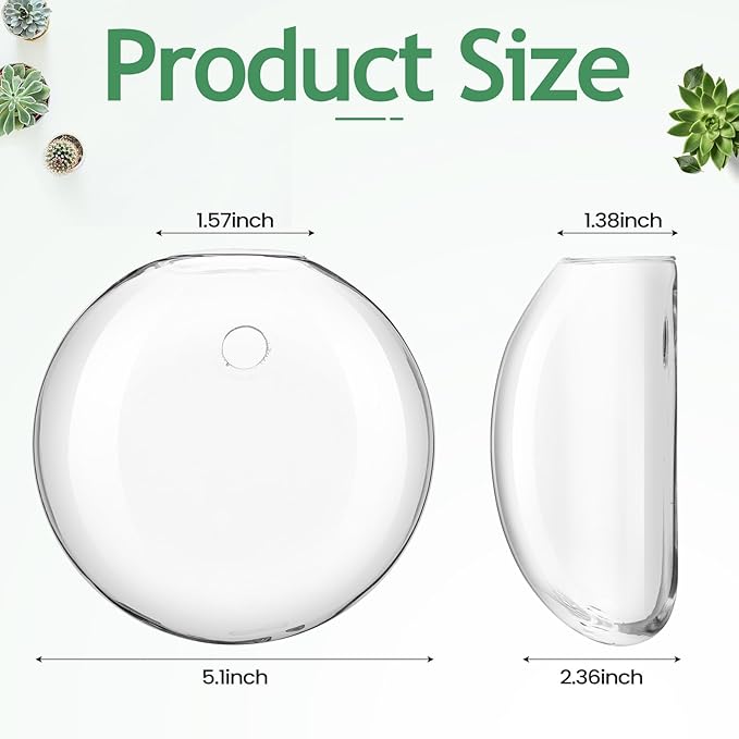 Layhit 8 Pcs Wall Hanging Planters Terrarium Glass Propagation Wall Mounted Planter Oblate Flower Vase Clear Glass Plant Containers for Hydroponics Plants Home Office Garden Decor