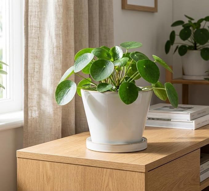 Glazed Ceramic Planter with Drainage Hole & Saucer for Indoor Tropical Plants, Reactive Glaze Plant Pot (White, 8")
