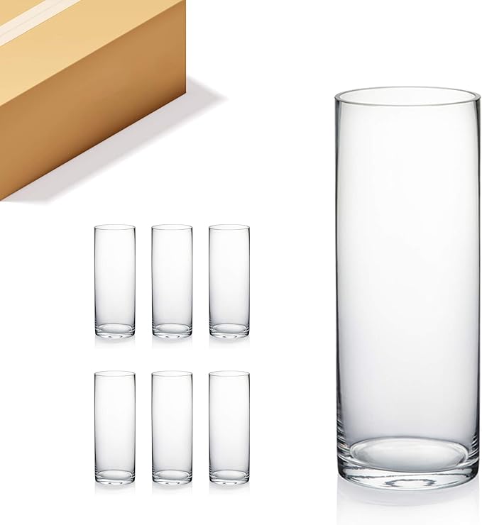 WGVI Quality Thick Clear Cylinder Glass Vases, 3" W x 8" H, Bud Vase Skinny Narrow Floral Bouquet Flower Container for Wedding Centerpieces Tabletop Décor Brush Pen Holder, Bulk Wholesale, 6 Pieces