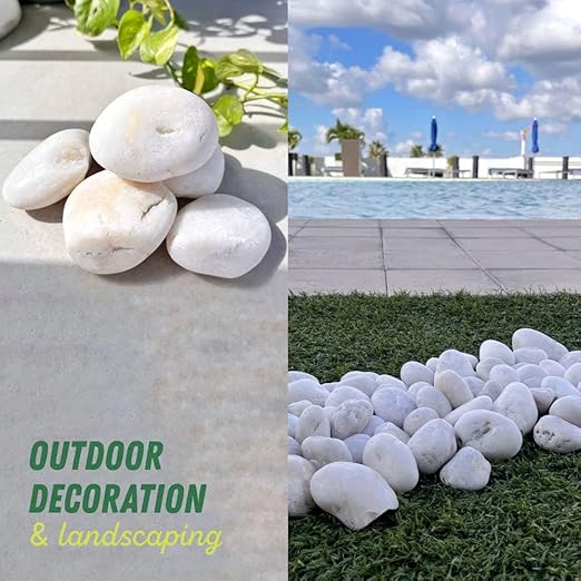 PGN White River Rocks for Plants - 10 Pounds - White Rocks with Smooth, Polished Surfaces - 1-3 Inch Stones for Planters, Aquarium Decorations, Vase, Fireplace, Landscaping, Outdoor Decor