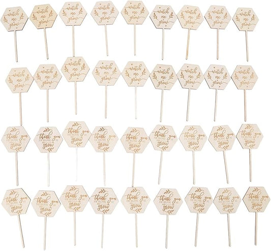 Watch Me Grow Succulent Tags, Wooden Plants Labels Thank You for Helping Me Grow Garden Marker Hexagon Planter Sign Decorations Gift for Greenhouse Potted Vegetable Seedling Baby Shower 36Pcs