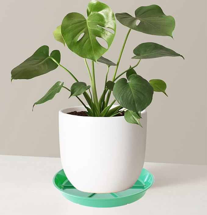 Plant Saucer Pot Tray 14 inch, 2 Packs Flower Planter Saucers and Drip Trays, Heavy Duty Round Plastic Flower Plant Dish Pant Plate to Catch Water for Indoor & Outdoor, Green