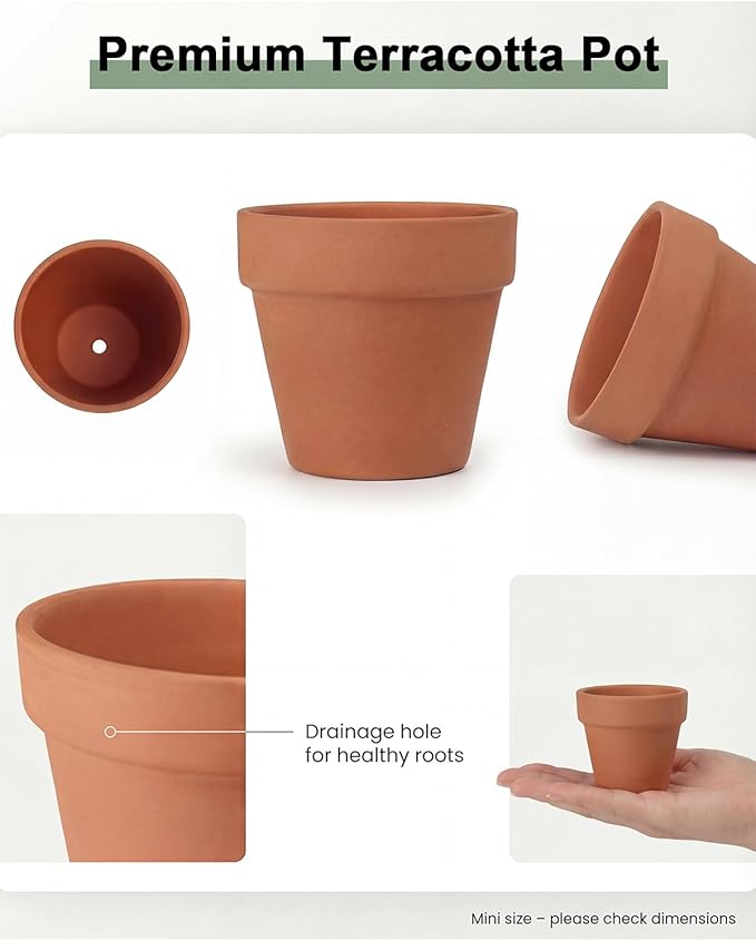 Riseuvo 32pcs 2" Small Mini Terracotta & Clay Pot Planter - Cactus Flower Nursery Terra Cotta Pots with Drainage, Perfect for Indoor/Outdoor Plants, Crafts