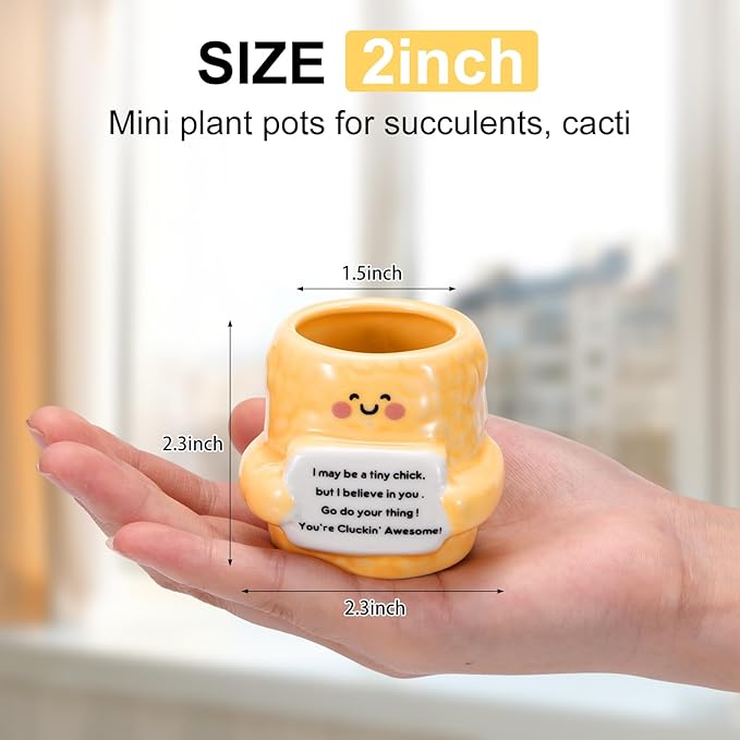 6 Pack 2.5 Inch Chicken Ceramic Succulent Planter Pots with Drainage Hole, Mini Cute Flower Pots Container for Home Office Garden Decoration Emotional Support Buddies Christmas Housewarming Gifts