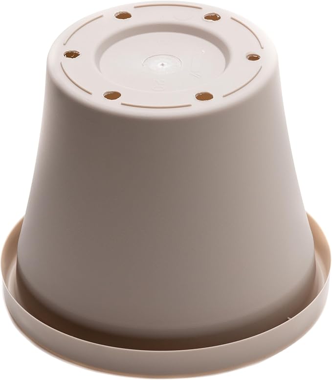 Bloem Terra 6" Diameter Round Pebble Stone Resin Planter Pot with Drainage Holes for Indoor and Outdoor Gardening