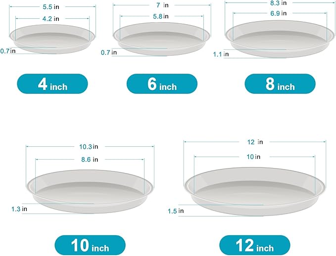 6 Pack of Plant Saucer 8 Inch, 8 inch Plant Saucer Round, Plastic Flower Plant Trays for Pots, Plant Saucers for Indoors 8", Plant Pot Saucers, Planter Tray for Planter 6-8" (8", Clear)