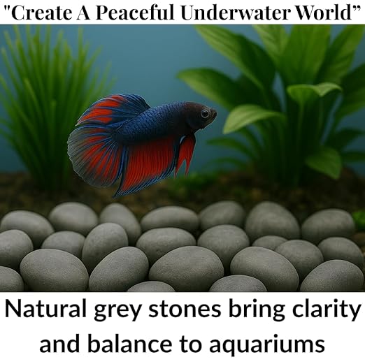 Natural Rocks for Aquarium, 5Lb Stone Terrarium, hydroponic Grow Media, Rock Garden Edging, Terrarium Rocks, Fish Tank Stones, Decorative Stones for vases, Planter Filler