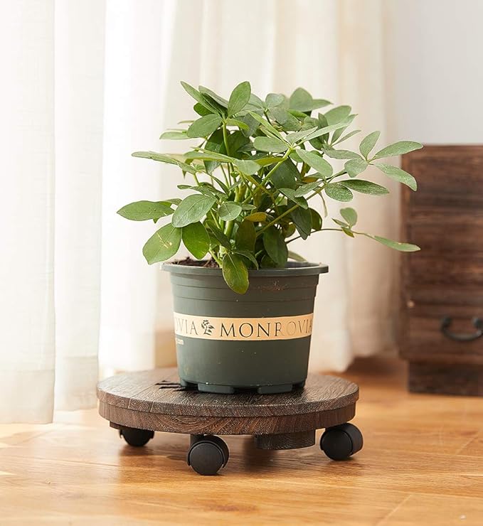 Wood Plant Caddy, Heavy Duty Rolling Planter Dolly With Rotating Casters, Movable Flower Pot Stand, Round Plant Stand With Lockable Wheels, Heavy Objects Hauling (12 Inch)