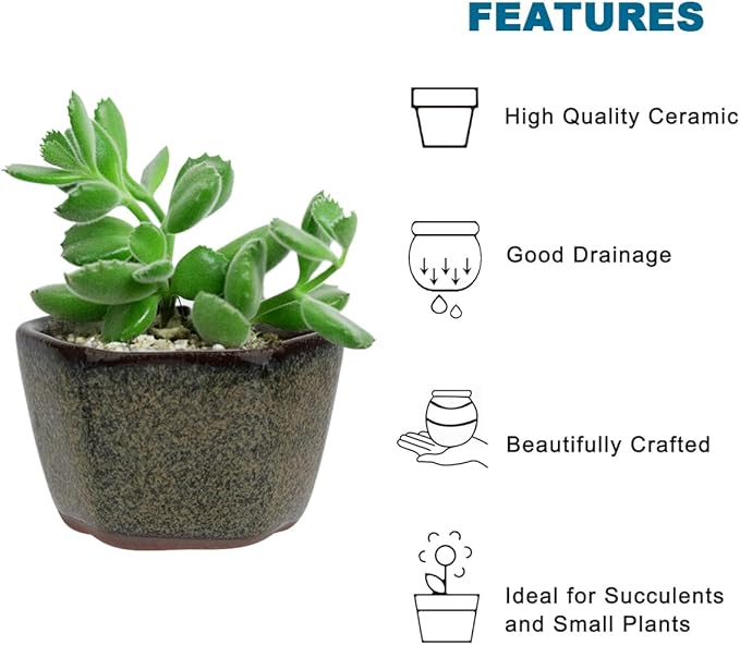 Bonsai Planter 8/12/20 pc Mini Glazed Pots Succulent 1.6 Inch