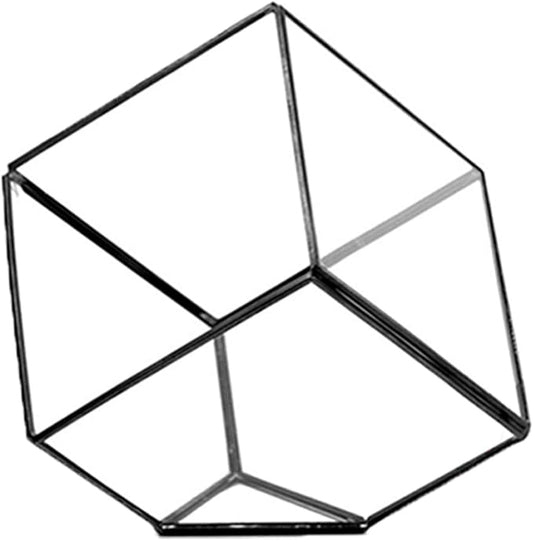 WGV Geometric Planter Terrarium, Width 11.5" Height 12" Clear Glass Black Frame DIY Succulent air Plant Miniature Fairy Garden Windowsill Tabletop Decor, Tilted Cube 1 Piece