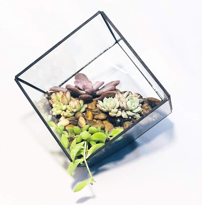 WGV Geometric Planter Terrarium Bulk, Width 11.5" Height 12" Clear Glass Black Frame DIY Succulent air Plant Miniature Fairy Garden Windowsill Tabletop Decor, Tilted Cube 4 Pieces