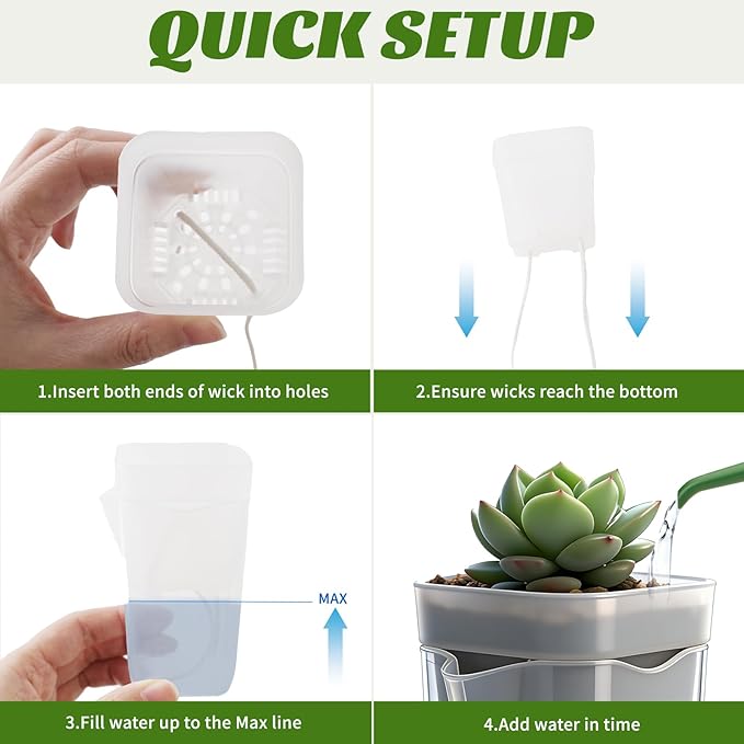20 Pack 2” Mini Self Watering Pots for Indoor Plants, Small Clear Plastic Planters with Water Level Indicator & Drainage Holes, Perfect for Alocasia Corm Propagation, Seedling, Cuttings