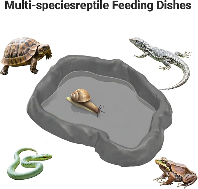 2 Pack Snail Food and Water Bowl，atural Design Food Bowl for Pet Snails, Garden Snails Pet Land Snail Supplies
