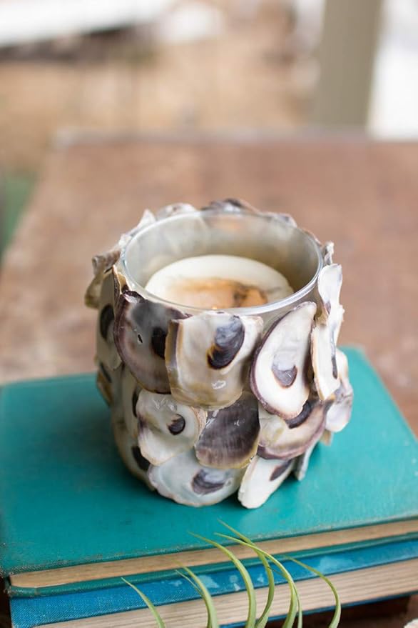 Kalalou Oyster Shell Round Candle Holder, One Size, Off-White