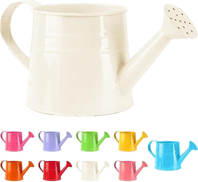 Watering Can Gardening Tool Accessories, Sprinkling Can 1L Metal Flower Garden Watering Can for Outdoor Indoor Plants Lawn Garden (White)