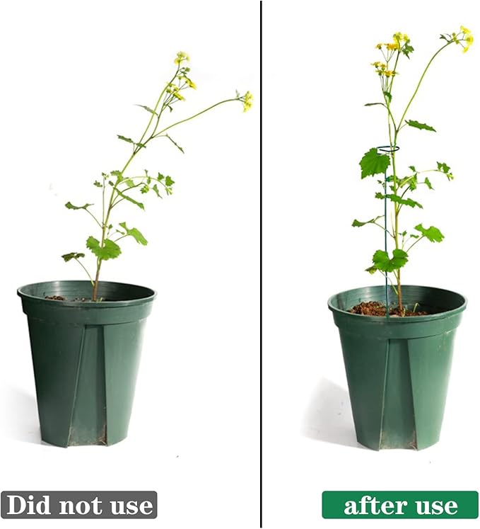 12 Pack Plant Stakes,Plant Support Stakes for Two Sizes(16 or 32 Inches),Plant Stakes for Outdoor Plants,Garden Flower,Tomato(Green)
