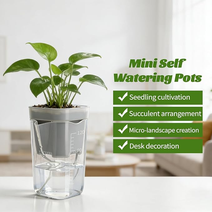 20 Pack 2” Mini Self Watering Pots for Indoor Plants, Small Clear Plastic Planters with Water Level Indicator & Drainage Holes, Perfect for Alocasia Corm Propagation, Seedling, Cuttings