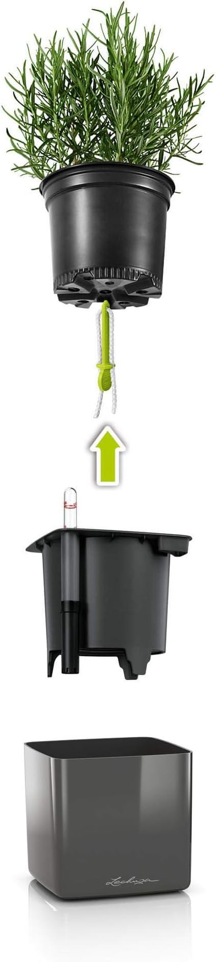 Lechuza Cube Glossy 14 Cream White High Gloss, Self-Watering Indoor Small Plant Pot, H5.5 L5.5 W5.5 in