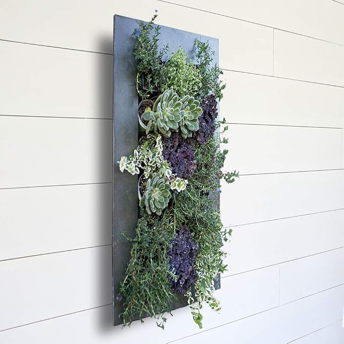 Modern Home Living Wall Galvanized Steel/Zinc Succulent Planter, Wall Mounted Garden Pocket Planter (12 Pocket, Black Zinc)