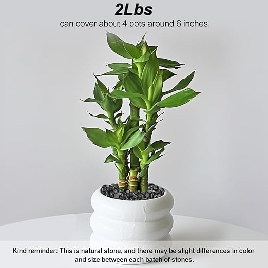Vase Filler,Landscaping Pebbles, River Rocks Decorative Ornamental Pebbles, DIY Smoothed Rocks for Potted Plant Resin Art Vase Fillers Aquarium Gravel Rocks (1, Black, 2 Pounds)