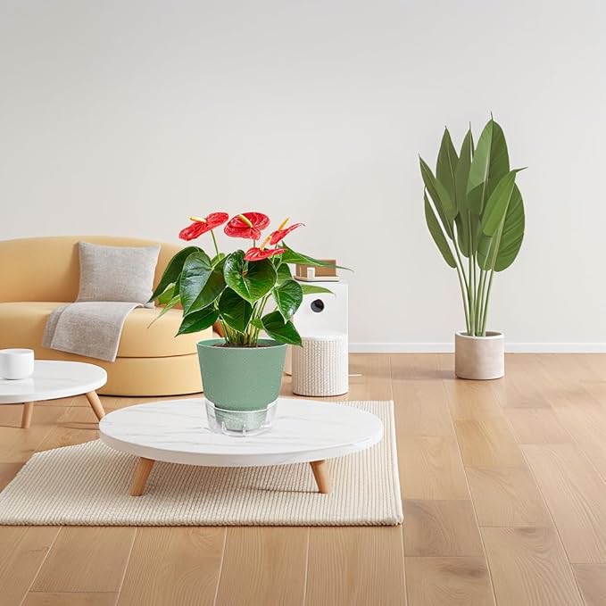 Green Self Watering Plant Pots - 6" Planters for Indoor Plants - Pack of 5 Flower Pots - Plant Pots with Drainage Hole and Tray Saucer (Frosted Dark Green)