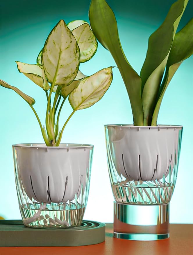 4 Pack 4 Inch Self Watering Pots for Indoor Plants, Self Watering Planter with Reservoir and Wick Rope, Clear Flower Plant Pots for African Violets,Succulents,Herbs,Cactus,Orchids