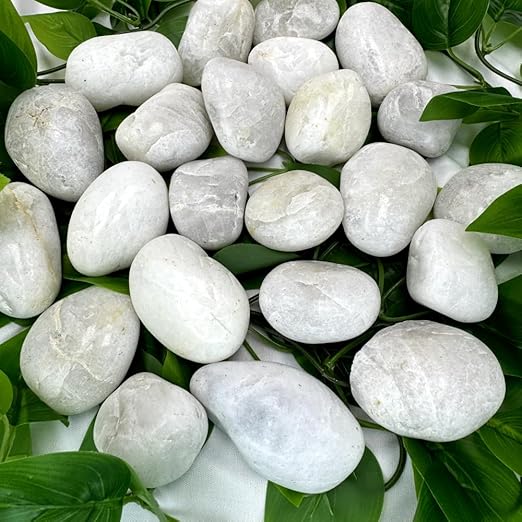 PGN White River Rocks for Plants - 10 Pounds - White Rocks with Smooth, Polished Surfaces - 1-3 Inch Stones for Planters, Aquarium Decorations, Vase, Fireplace, Landscaping, Outdoor Decor