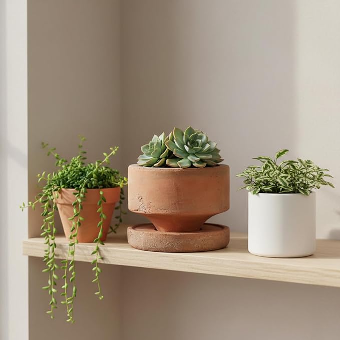 Yungyan 2 Set 6 Inch Rustic Terracotta Plant Pot with Drainage Saucer Vintage Breathable Clay Planter Farmhouse Flower Pot with Distressed Finish for Flowers Succulent Cactus Modern Home Garden Decor