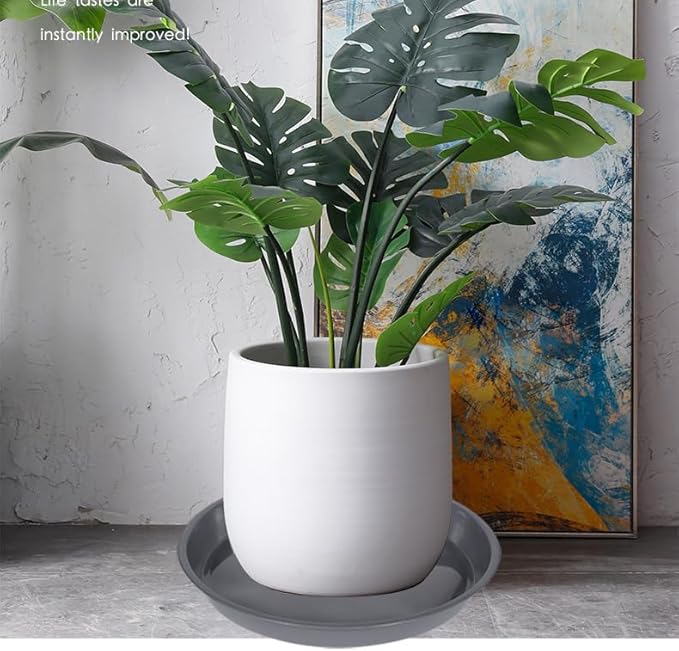 6 Pack of 20 inch Plant Saucer (18 Inch Base), Plant Tray 20 Inch Round, Plant Saucers for Indoors, Plant Trays for Pots, Flower Pot Saucers, Pot Saucers for Planter 16-21" (20", Gray)