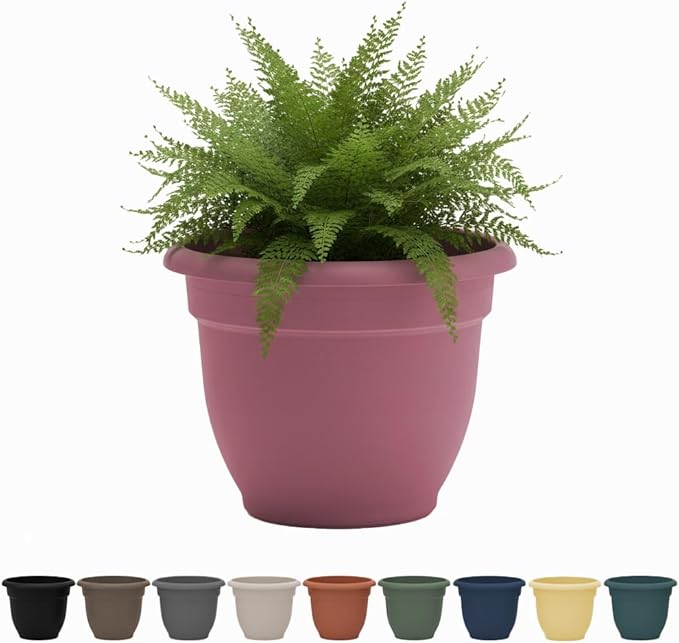 Bloem Ariana 10" Dusty Rose Round Self-Watering Resin Planter Pot - Rolled Rim Indoor and Outdoor Gardening Planter