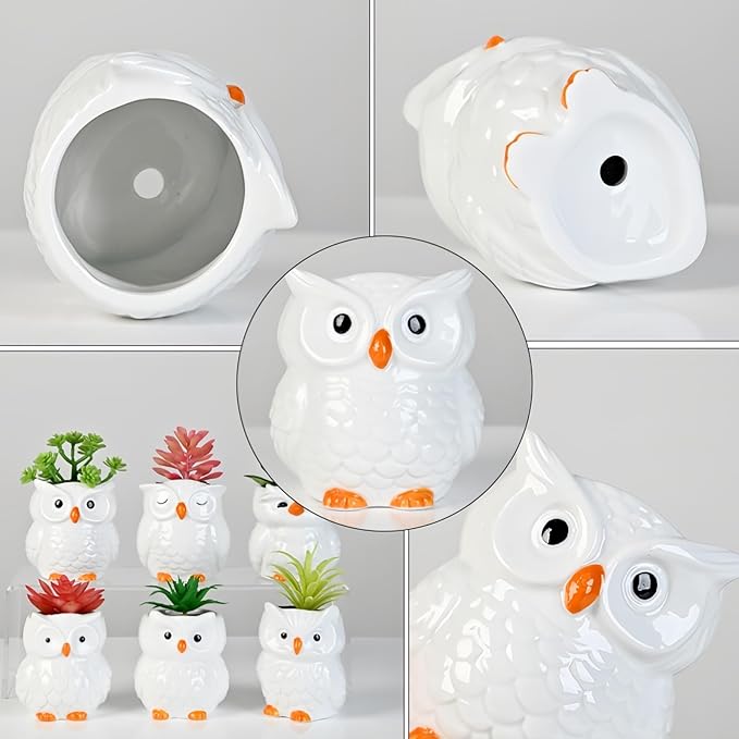 Cute Owl Ceramic Succulent Garden Pots, Planter with Drainage and Attached Saucer, Set of 6, Desk & Home Décor -Plants Not Included