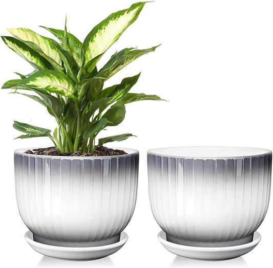 Ceramic Plant Pots,6.7 Inch,Set of 2,Planters with Drainage Hole and Saucer,Flower pots for Indoor Plants,Modern Design(Gray+White)