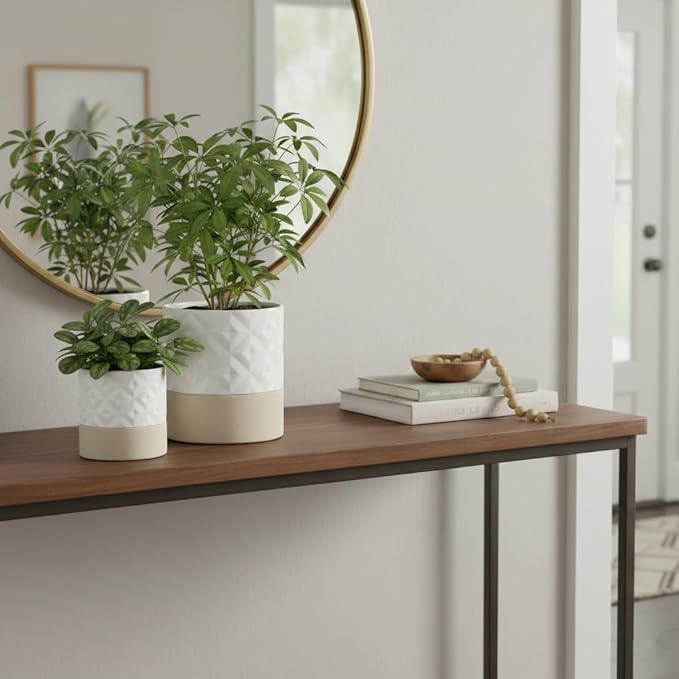 Nihow Self Watering Plant Pot for Indoor Plants: 4.5+6 Inch Ceramic Planter with Drainage Hole & Water Storage Plus - Cylinder Flower Pot with Wick for Herbs - Matte White & Brown Star