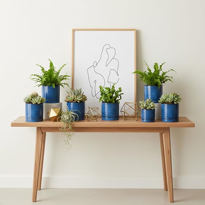 HASENSE Small Plant Pots, 4.6 Inch Porcelain Planters with Drainage Holes and Tary, Mini Pot for Flower, Succulents, Cactus, Herbs, Reactive Glaze Blue Indoor Planter, Set of 4