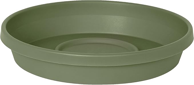 Bloem Terra Resin Saucer Tray: 11.25" Bottom Width - Matte, Durable, Ribbed Bottom, Indoor and Outdoor, Fits 14" Terra Pots, Living Green