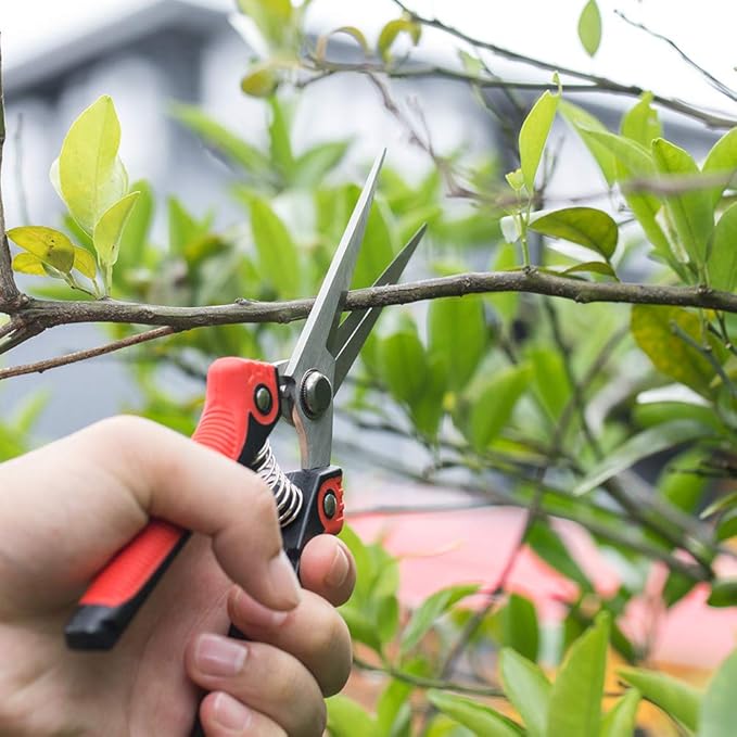 WYF Pruning Scissors, Professional Garden Shears - Straight Stainless Steel Blades - Sharp Gardening Hand Pruner for Garden Harvesting Fruits, Vegetables, Trimming Flowers and Plants, 8.1IN(Red)