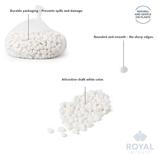 River Rocks Decorative Ornamental Vase Filler Aquarium Gravel White, Large 5 lbs - Landscaping Pebbles for Indoor Plants, Fish Tank Gravel, Terrarium & Home Decor, DIY & Crafting – Royal Imports