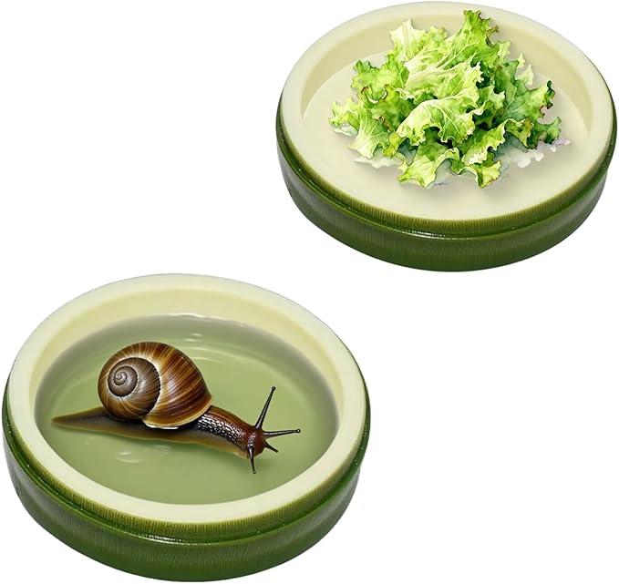 2 Pack Snail Water and Food Bowl，atural Design Food Bowl for Pet Snails, Garden Snails Pet Land Snail Terrarium Supplies