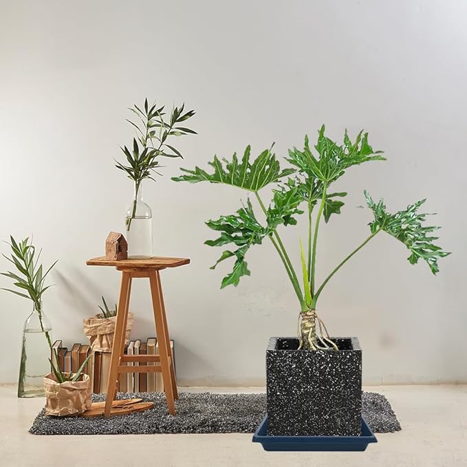 Square Plant Saucer 10 Inch 4 Pack, Plant Drip Trays and Flower Pot Saucers，Doubles Plant Water Catcher Tray, Plant Trays for Indoors No Holes, Plant Drainage Tray Saucers for Potted Plants